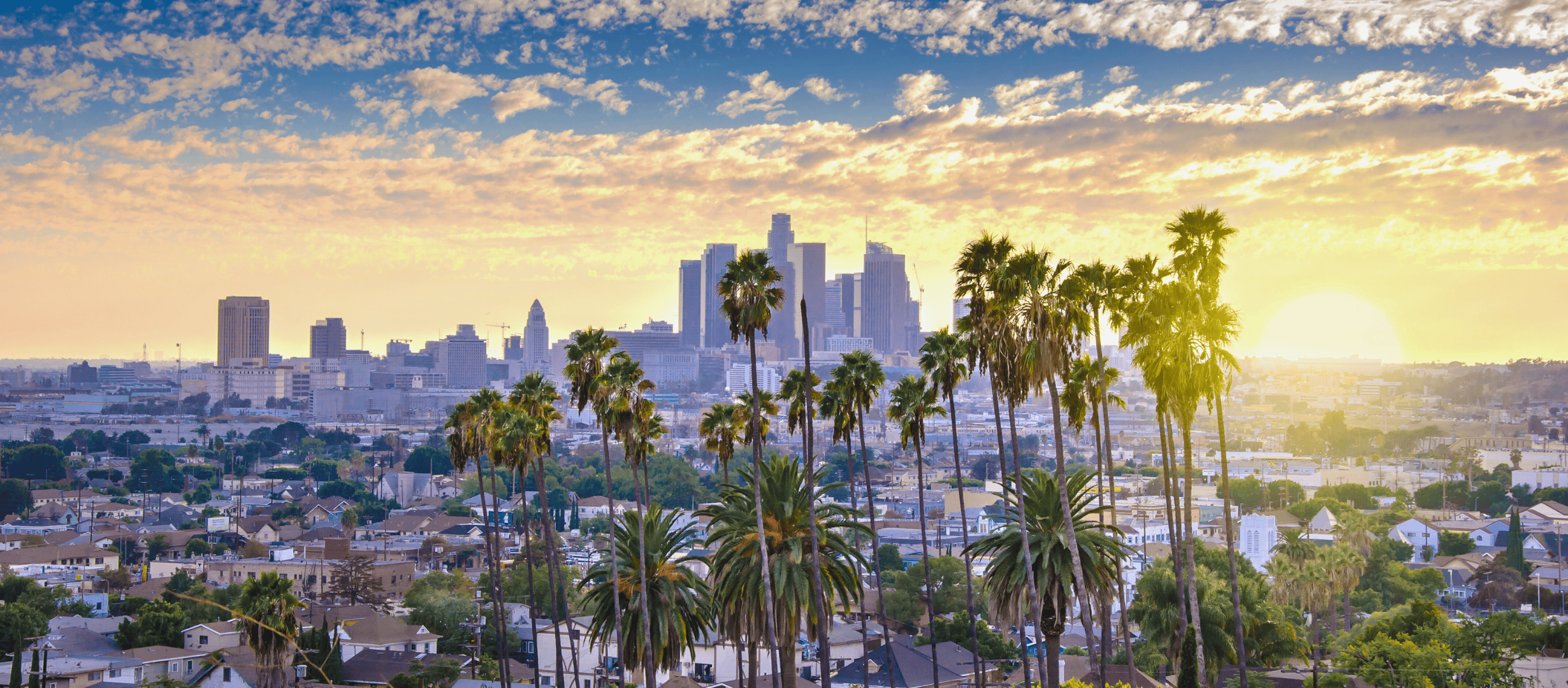 Sunrise over the Los Angeles skyline with palm trees in the foreground
