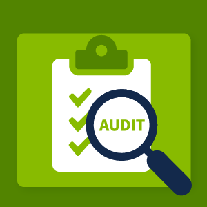 InternIcons_Audit300x300