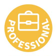 WellbeingatRegionsProfessionalIcon