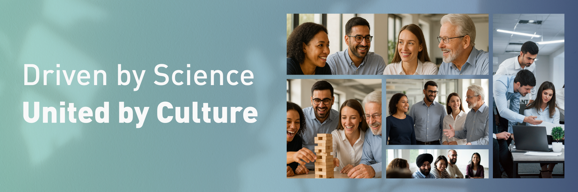 rubicon-culture-banner