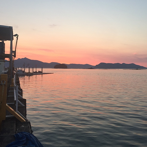 Why Silver Bay | Silver Bay Seafoods Careers