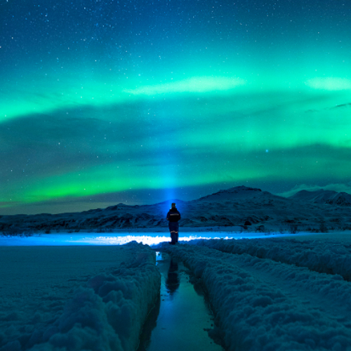 Why Silver Bay Silver Bay Seafoods Careers