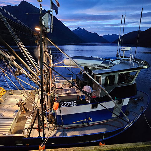 Why Silver Bay Silver Bay Seafoods Careers