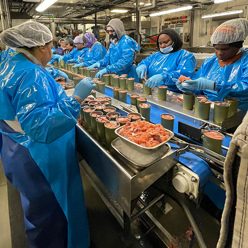 Why Silver Bay Silver Bay Seafoods Careers