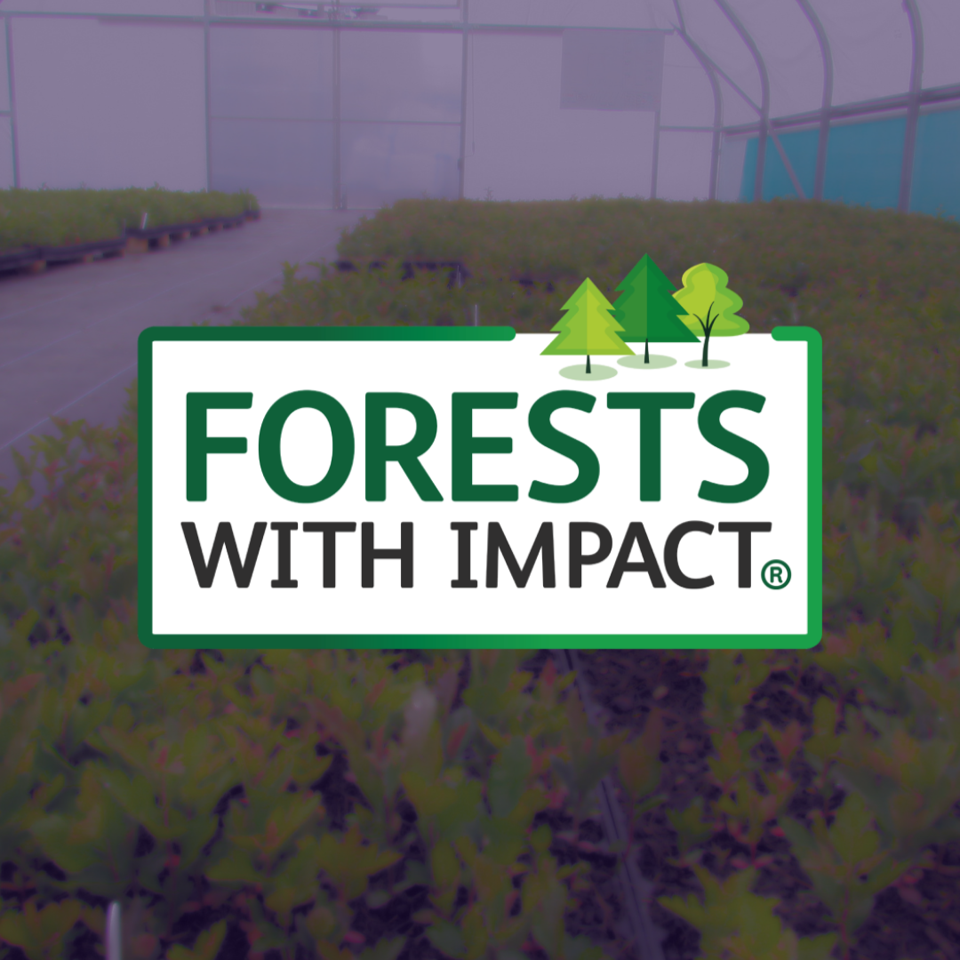 ForestsWithImpactLogoGraphic1X1