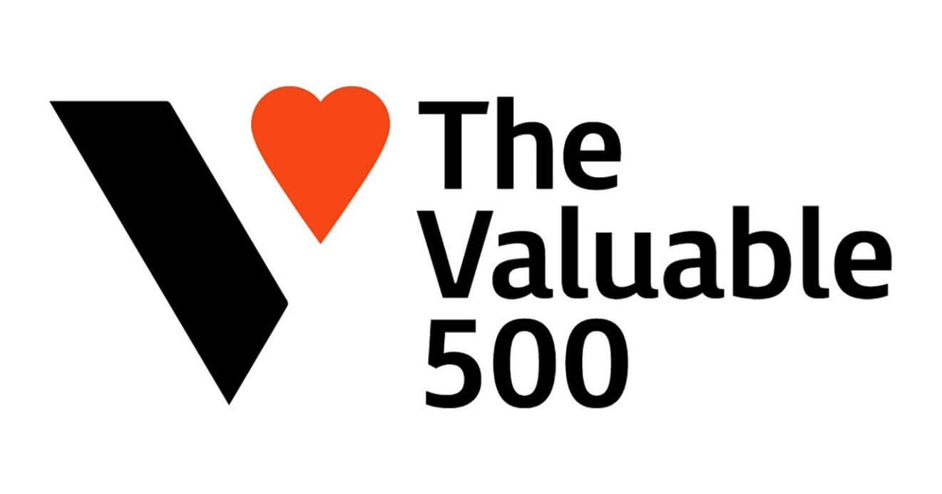 TheValuable500_logo