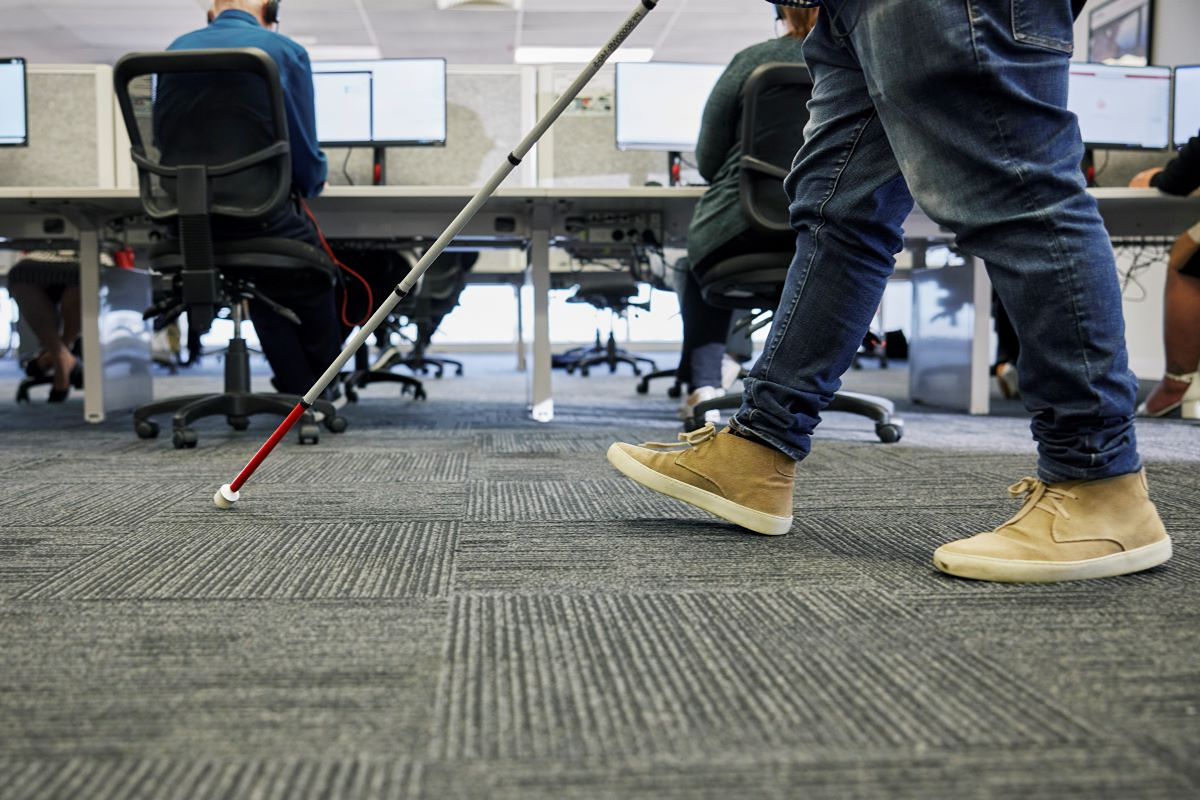 Disability Employment program