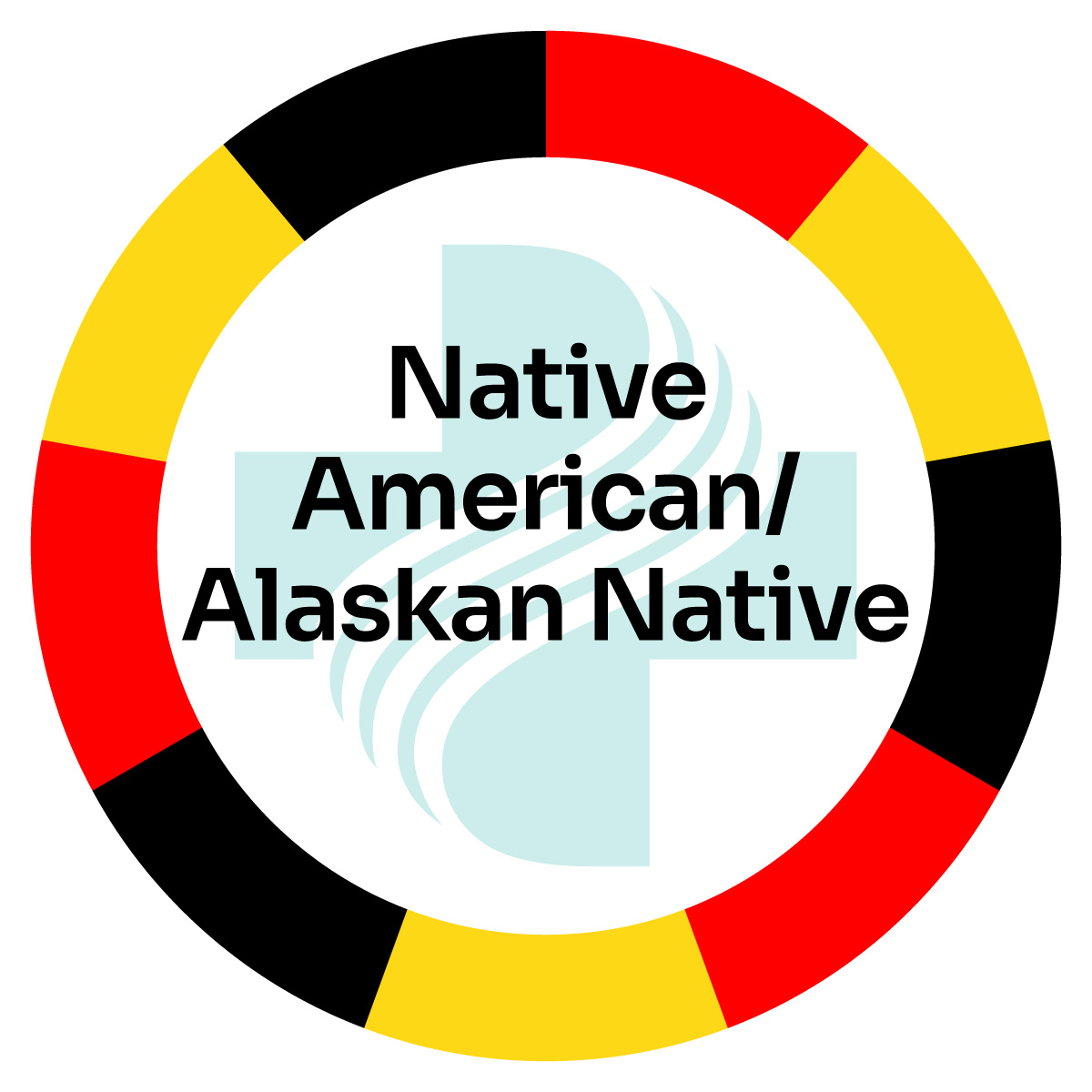 Native_American_Alaskan_Native