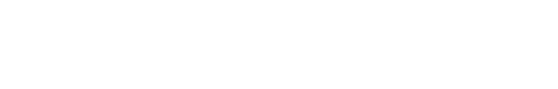 primary-white