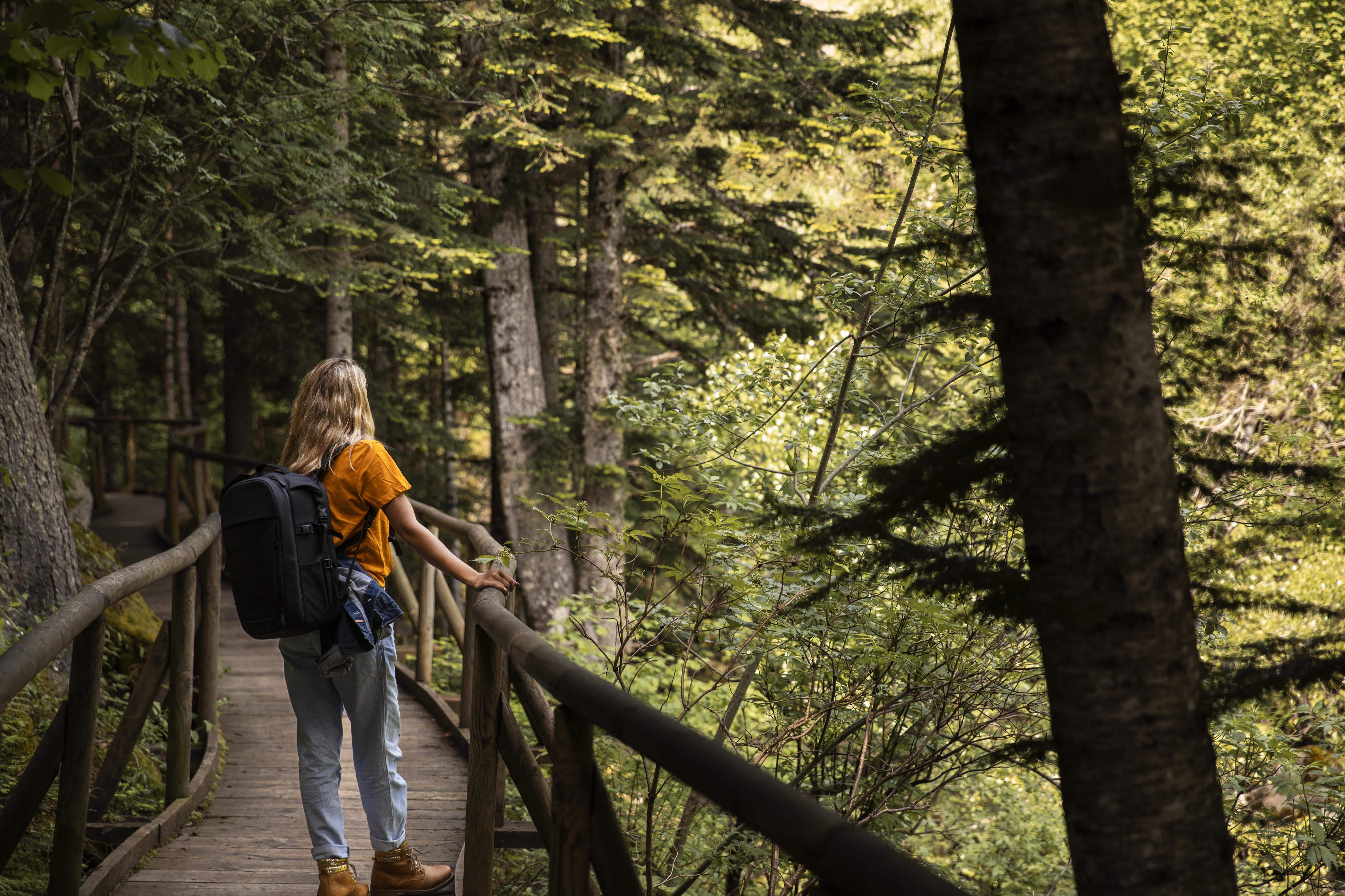 Girl in the woods hiking