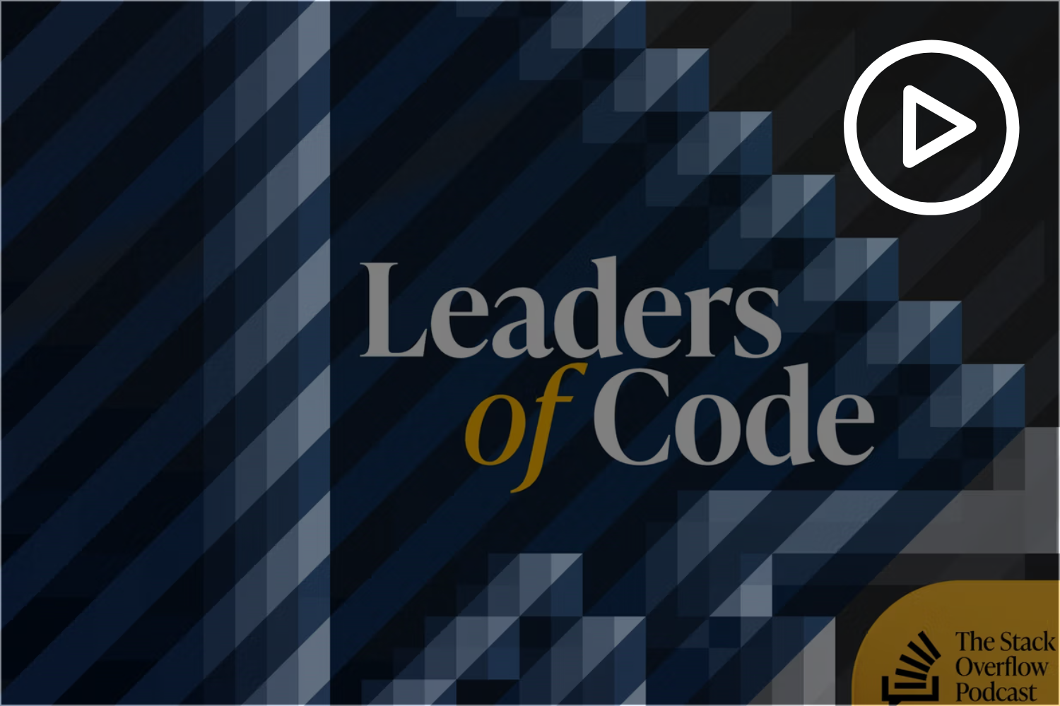 Vivek Leaders of Code