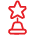 Red Award Icon