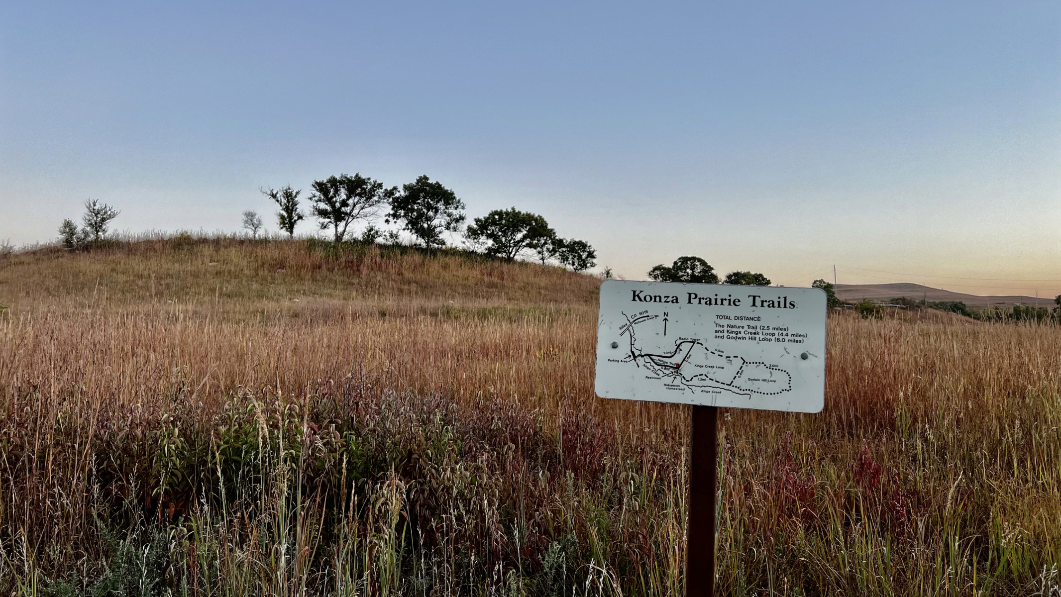 IMG_8155-KonzaPrairieTrail-Phenomsize