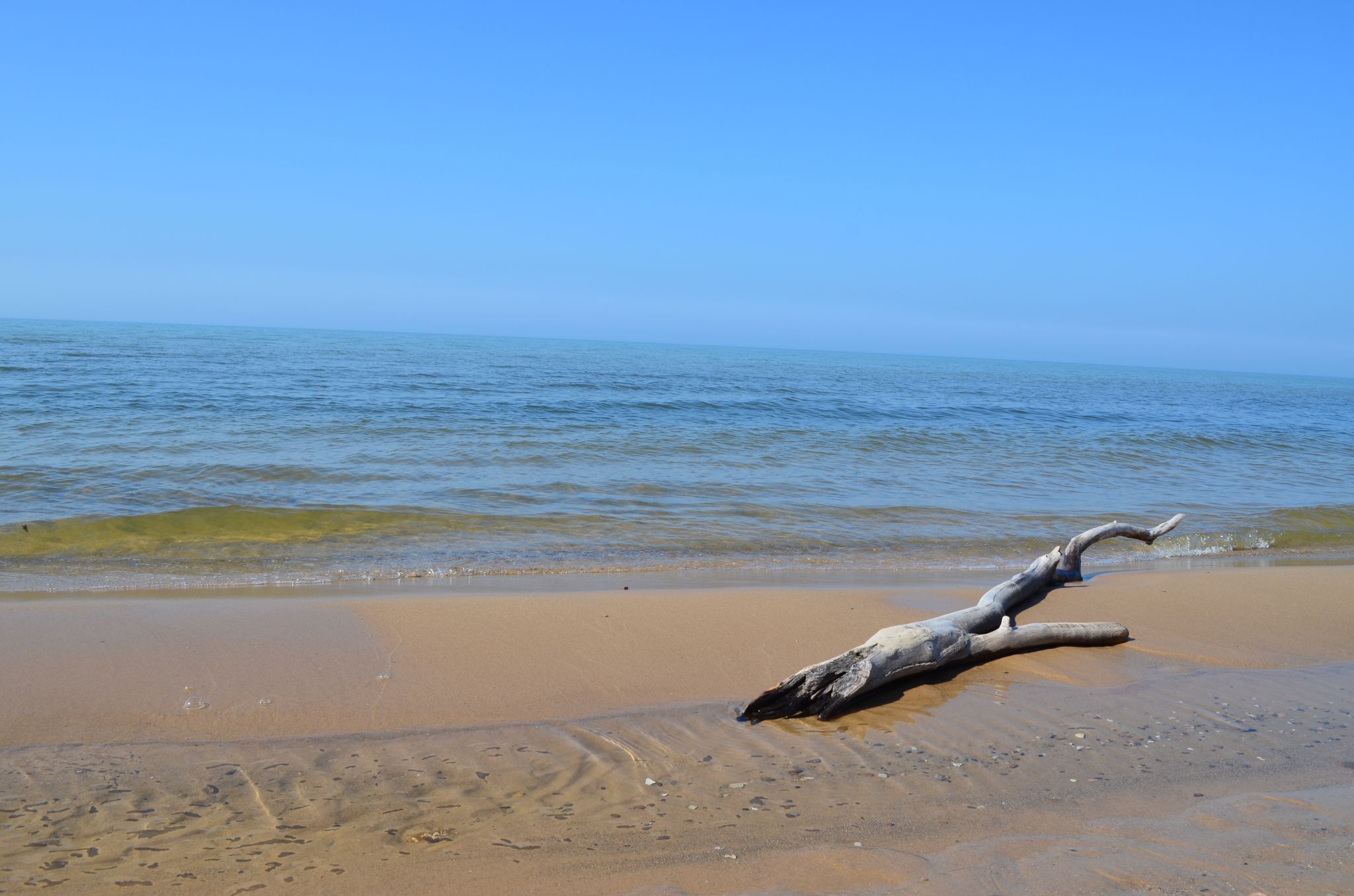 Sand and water with large wooden stick