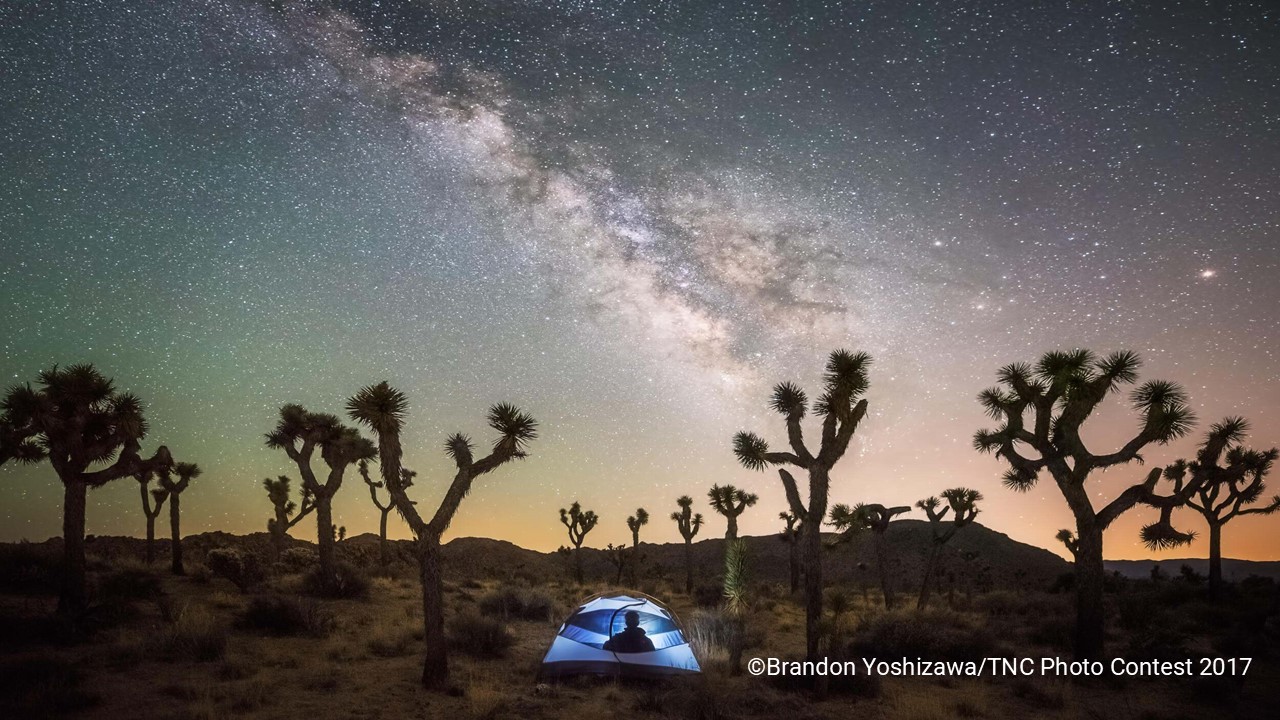 TNC_PC2017_Yoshizawa-Brandon-2017photocontest-star_and_milky_way_gazing-joshua_tree_national_park_JPG