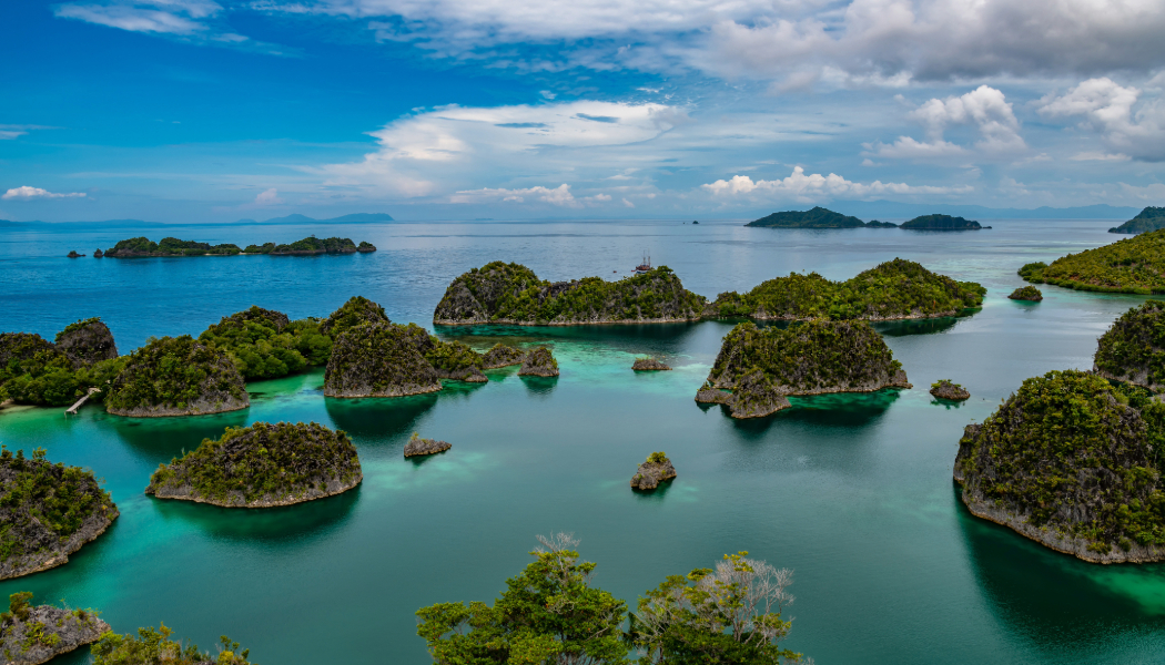 adobeChild-ZjEul