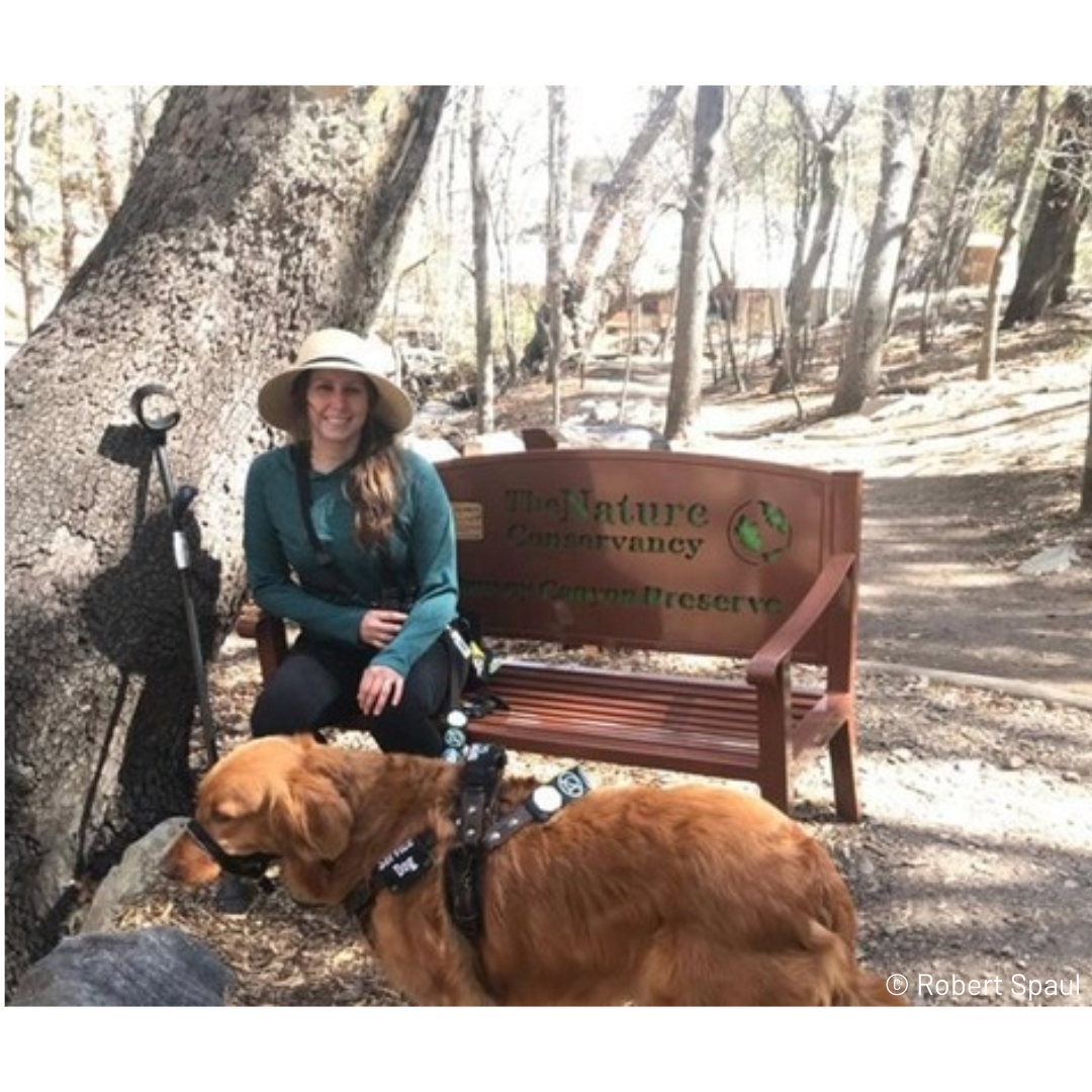 A person sitting on a bench with a dog