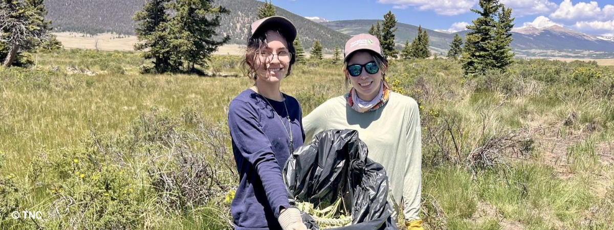 internshipsandexternshipsheroimage