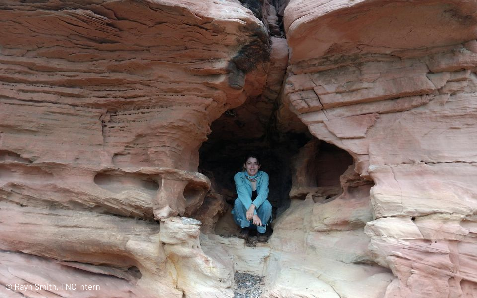 ©RaynSmithTNCintern