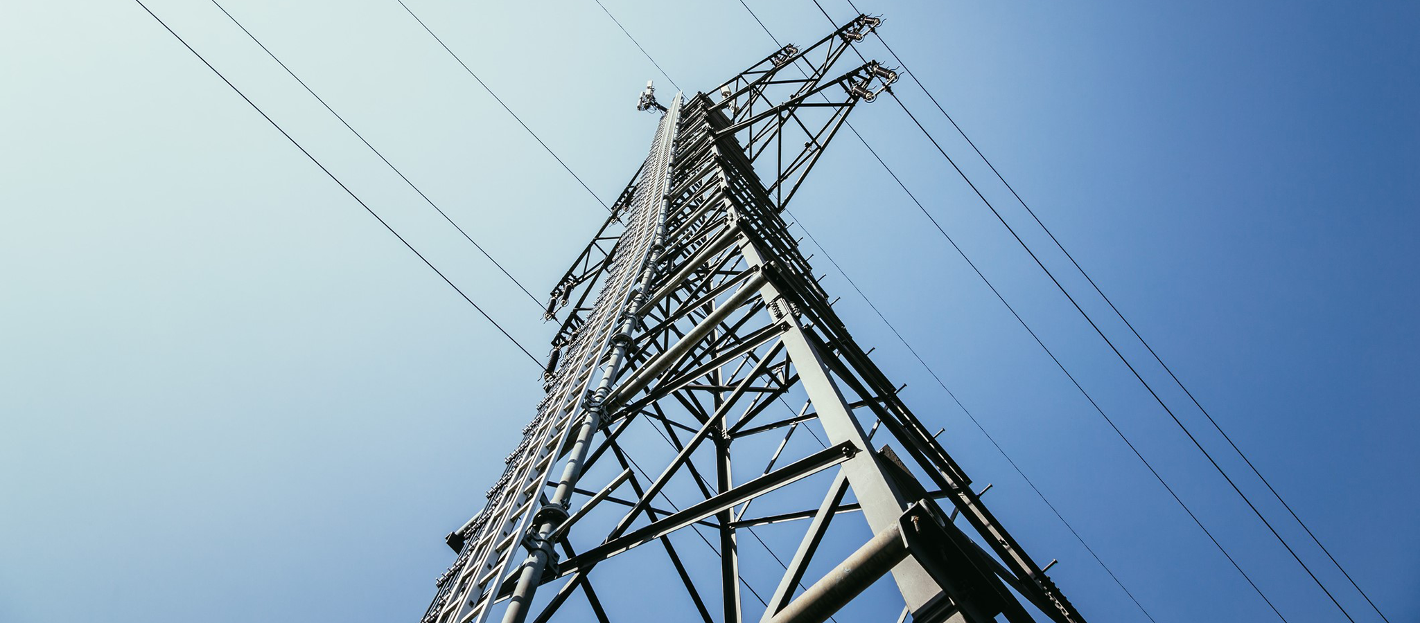 Transmission & Distribution