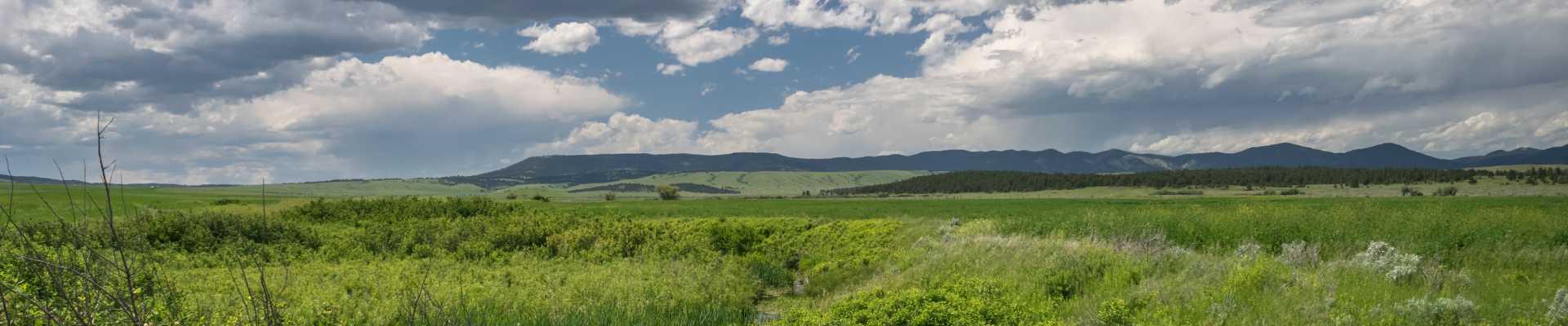 searchresultslewistown