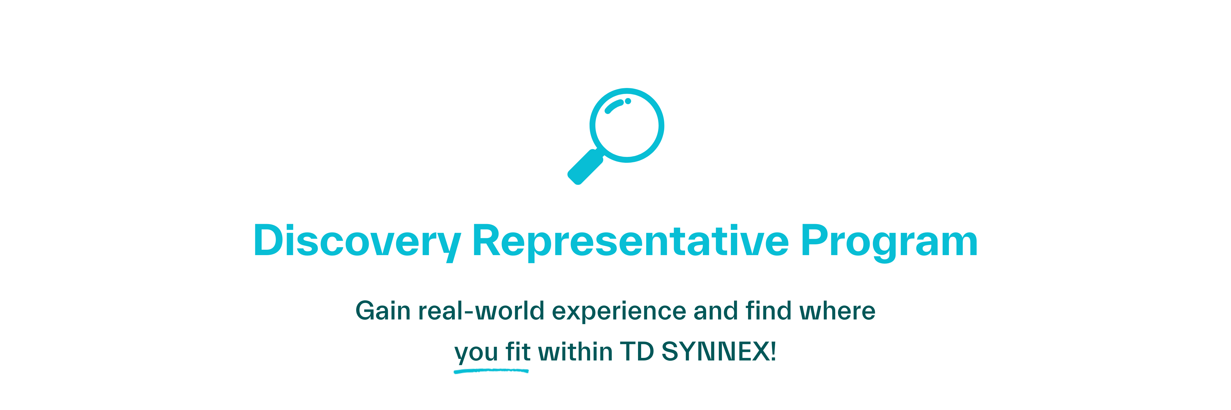 Discovery Representative Program: Gain real-world experience and find where you fit within TD SYNNEX!