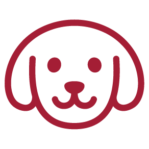 pet-insurance