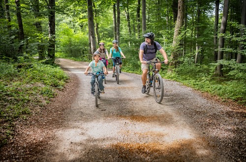 Family cycling on trail
