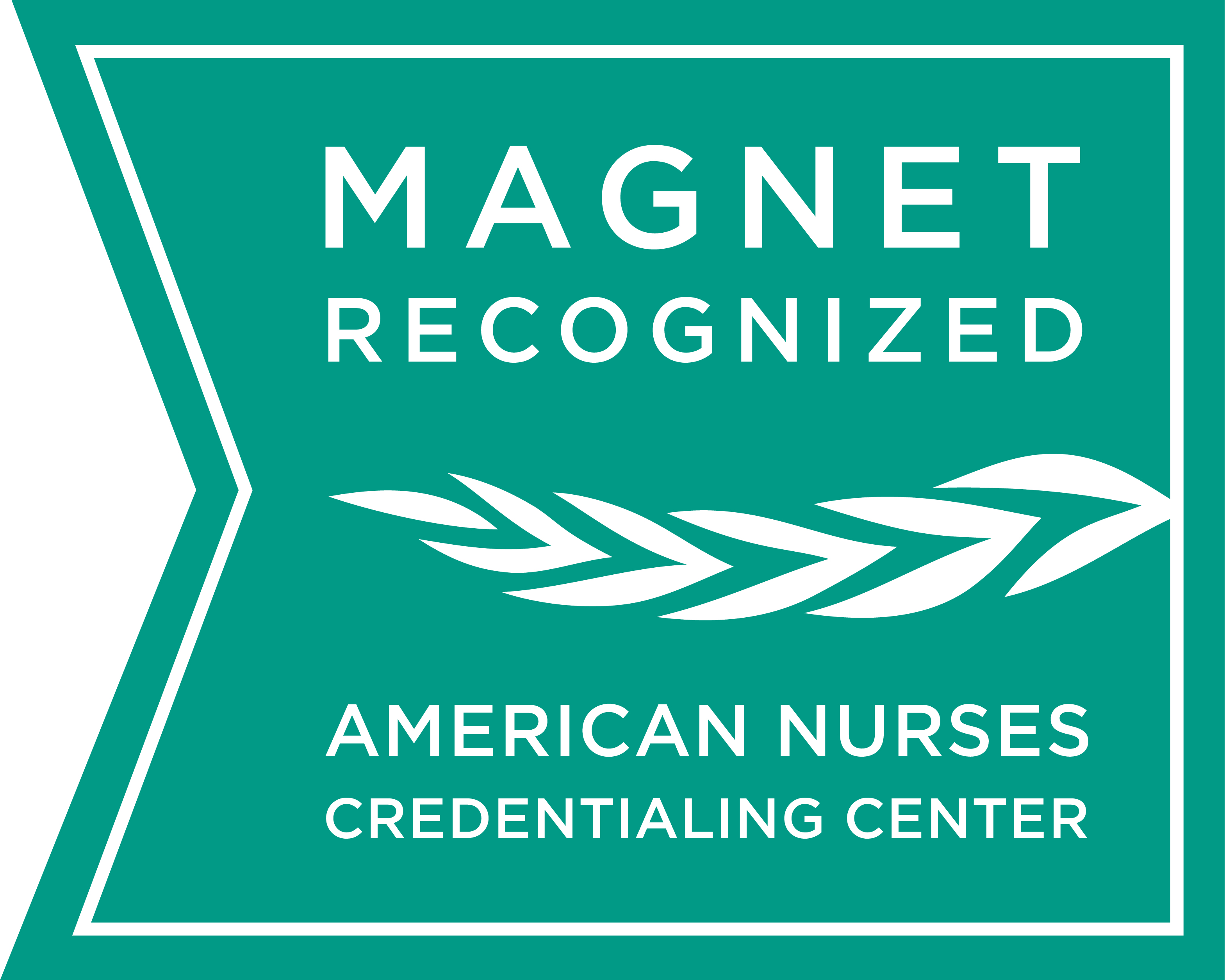 ANCCMagnetRecognizedGreen