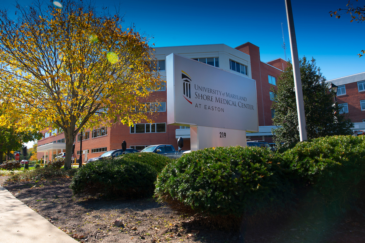 UMSMCatEaston5