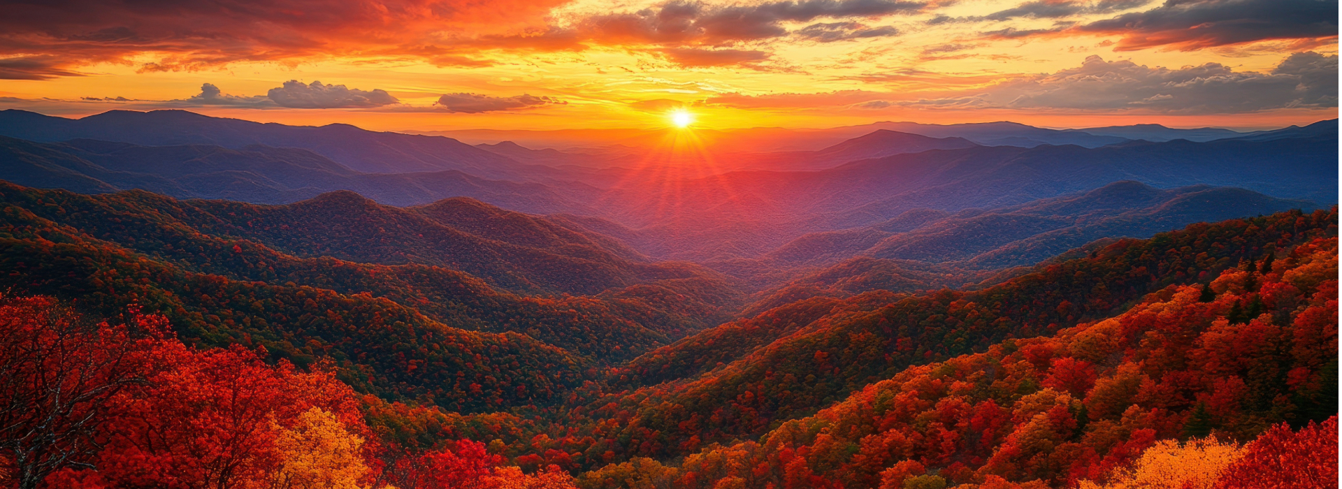 shenandoah valley