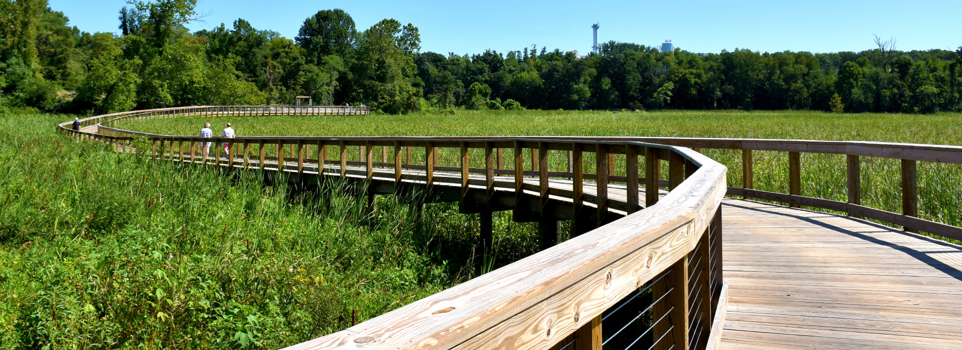 Neabsco boardwalk