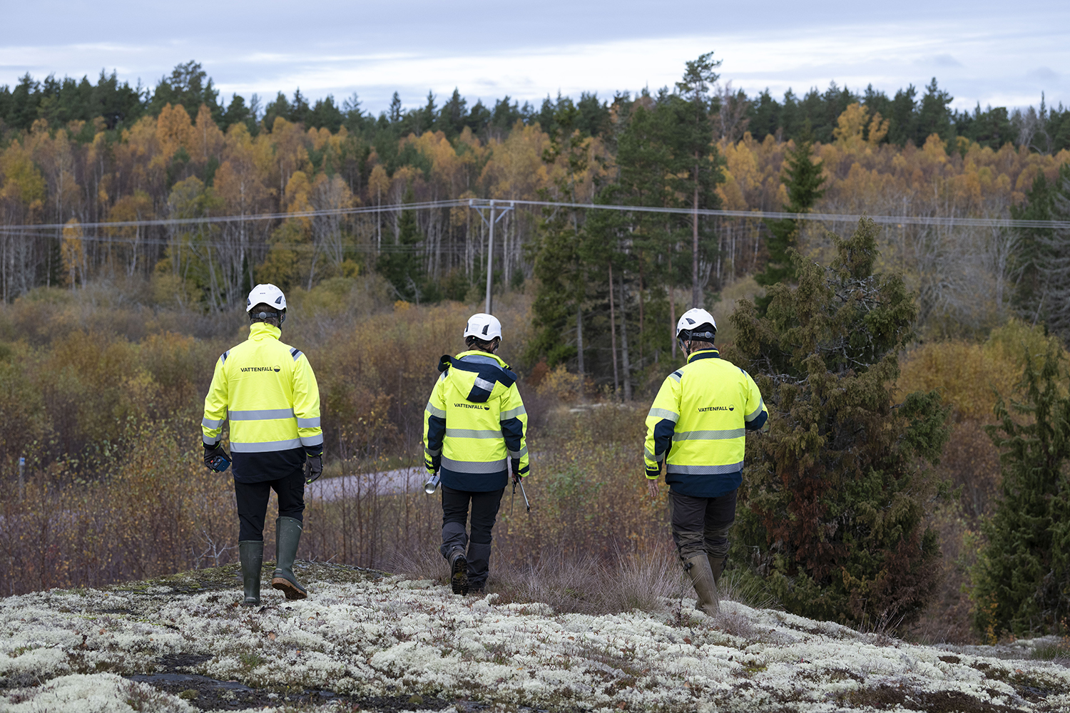 Skogmarkochmiljö6