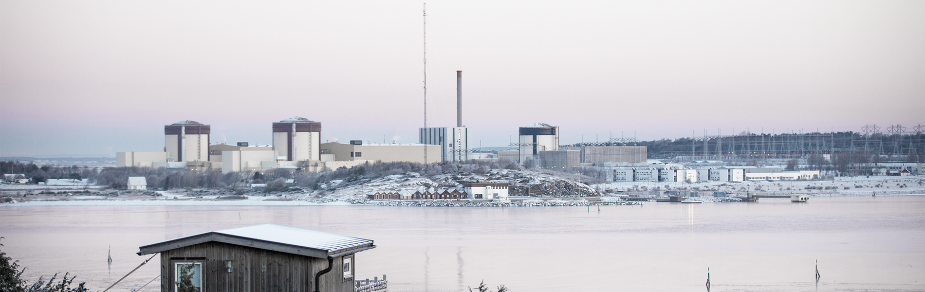 ringhals_winter