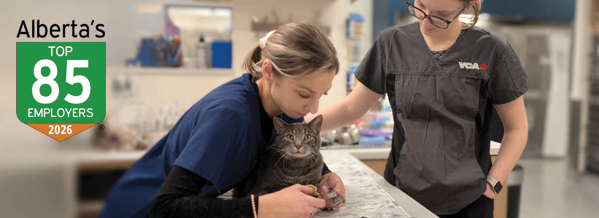 Alberta's Top Employer