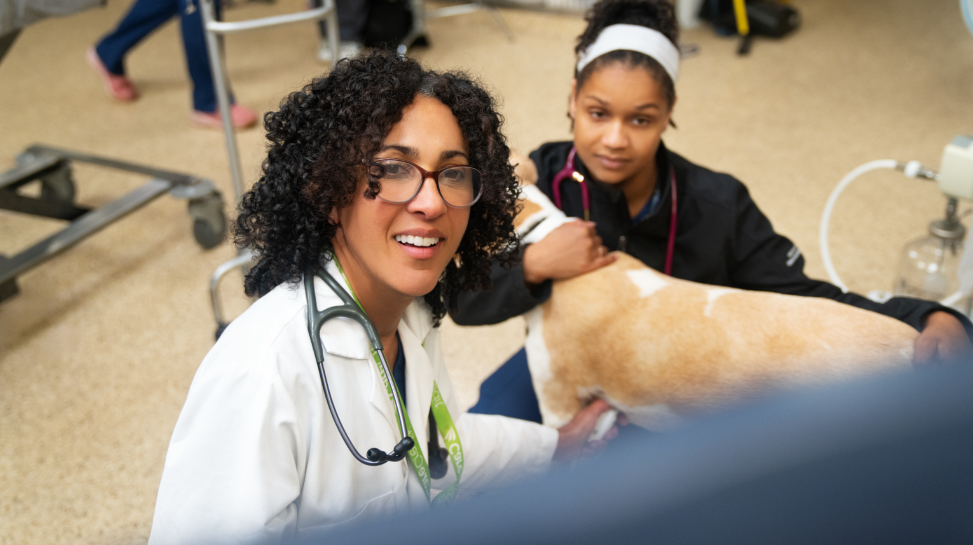 doctormedicaldirectorjobs