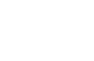 VIHU_wtlogo