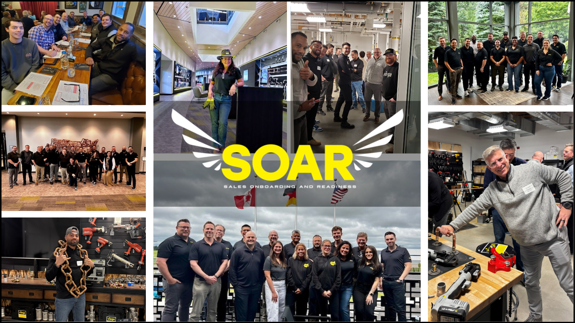 soar