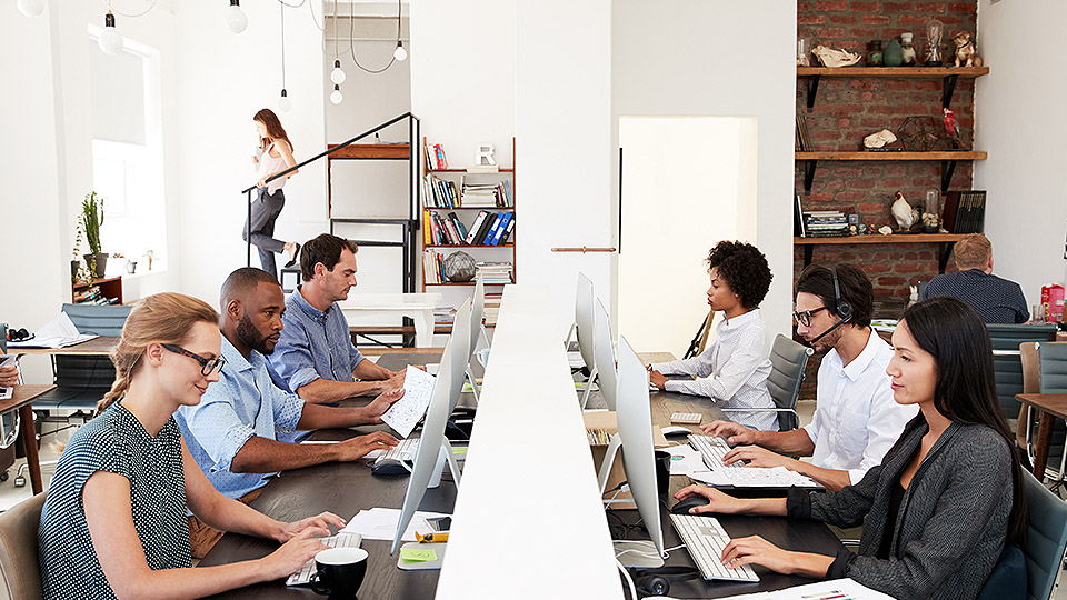 Our diversity program image