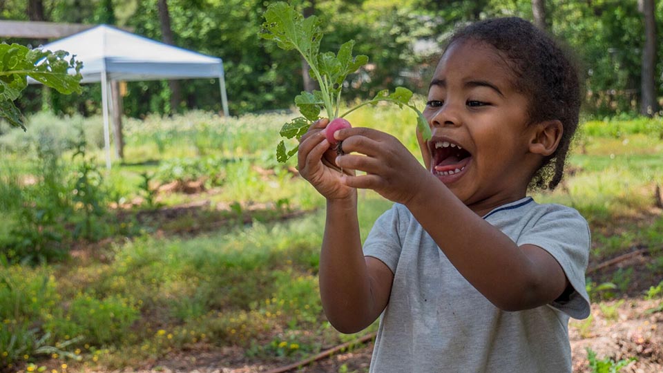 Our Foundations Whole Foods Market Careers