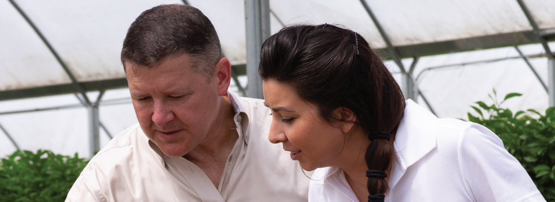 Careers at WilburEllis WilburEllis jobs