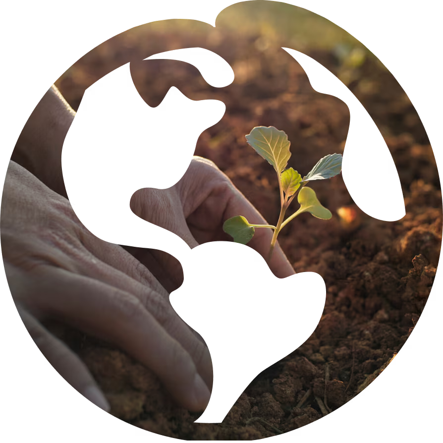 1737379016161_media_136be49fd1c2d36aae12f81679608dc455dda5a3b