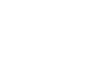 1737381277695_media_1d3e955dc84662d9f7aa1d6b8d03ce17c543835eb