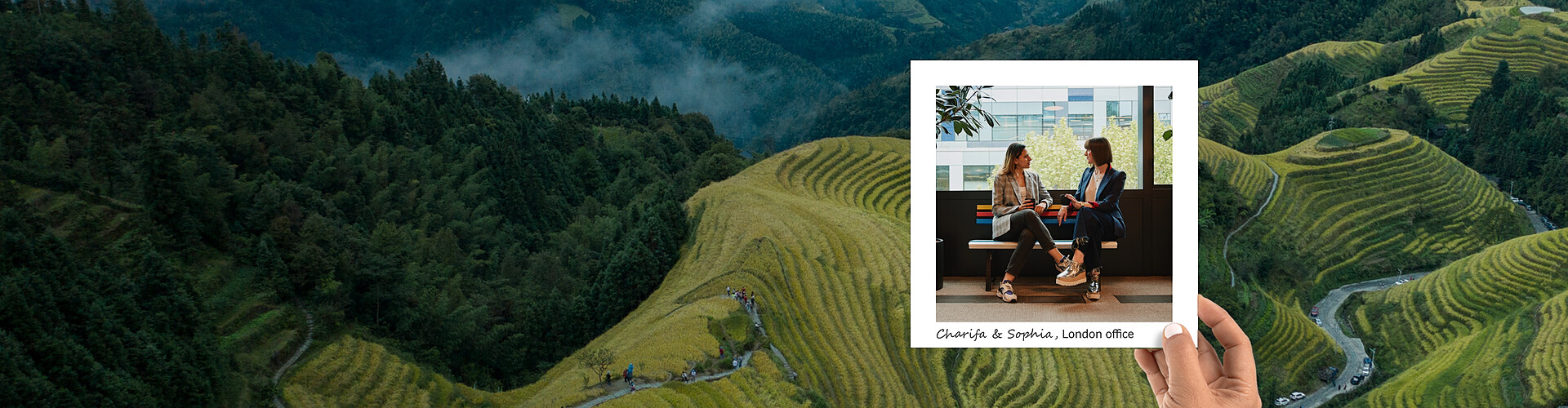 This panoramic banner image features a lush and vibrant landscape of terraced rice fields, with a hand holding a photograph of two professionals, Charifa and Sophia, engaged in conversation in the London office. The outdoor scene captures the rich greenery and foggy atmosphere typical of rural mountain areas, contrasting with the modern office setting depicted in the photograph, where the two women are seen discussing in a relaxed yet professional environment.