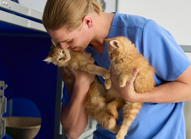 Veterinary Careers In Houston, Texas | Chewy Vet Care