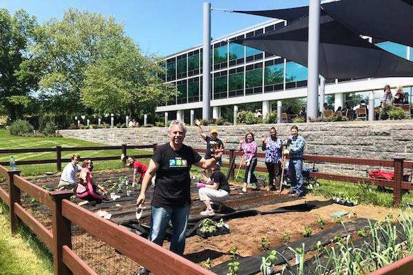 Employees volunteering