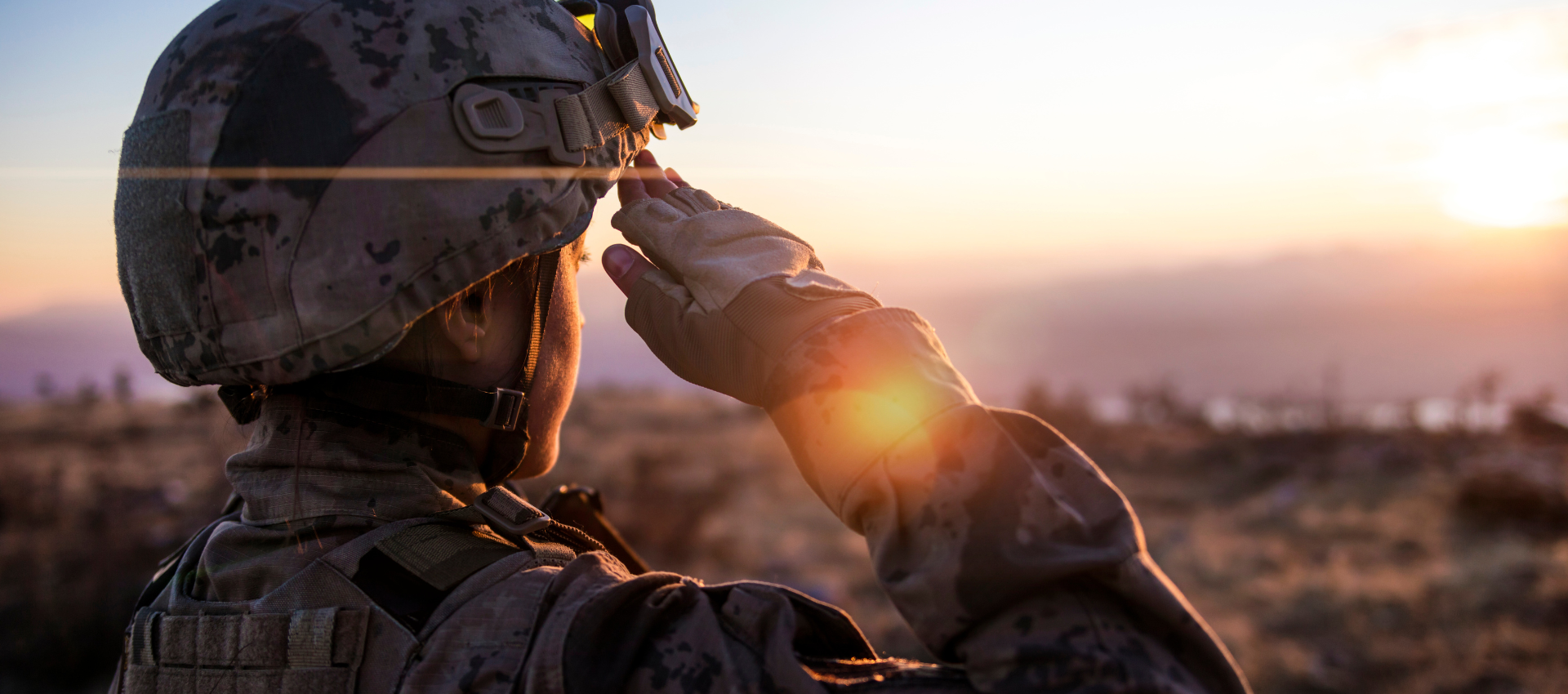 Military veteran saluting over the horizon. 