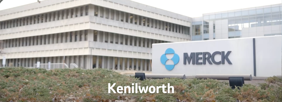 Kenilworth site video