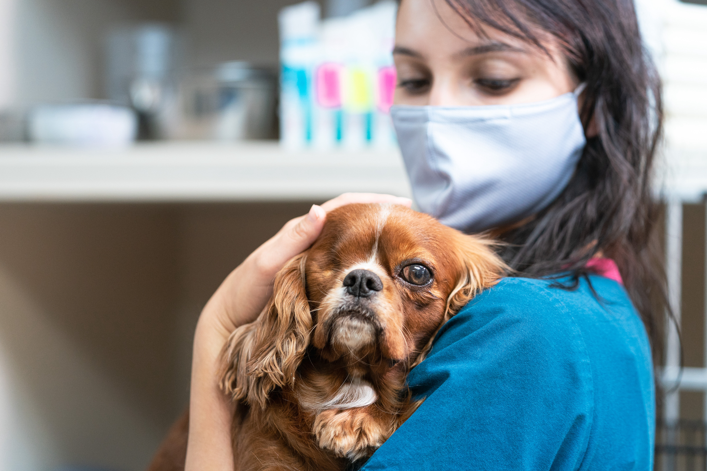 Veterinarian Technicians