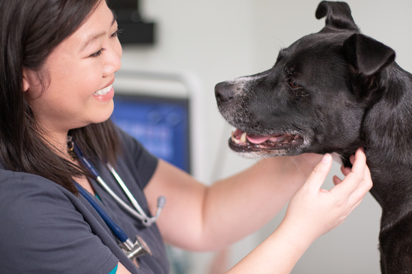 Careers at Thrive Pet Healthcare | Thrive Pet Healthcare jobs